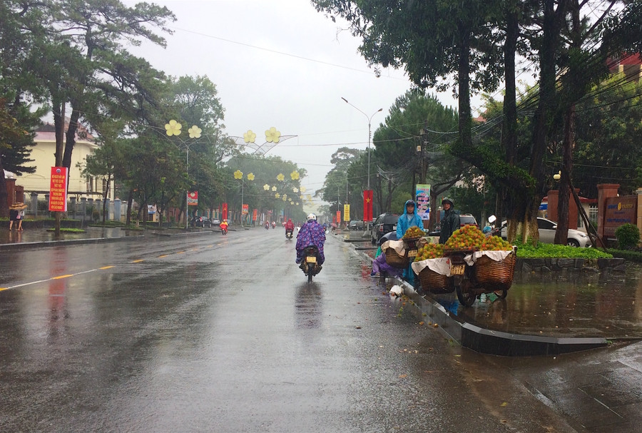 Đội mưa bán chôm chôm trên đường Hai Bà Trưng. Ảnh: Hồng Thi