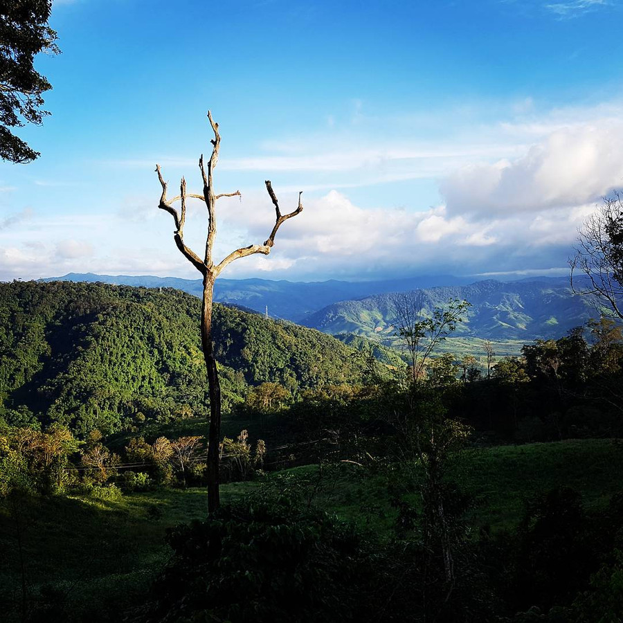  Cao nguyên Măng Đen - Ảnh: nguyenbatuonglam