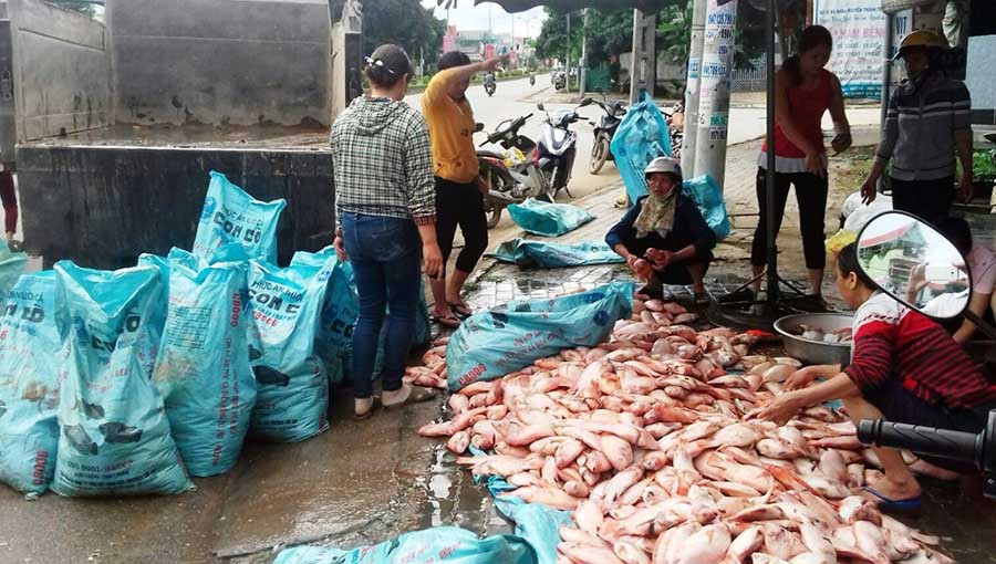 Một số hộ dân tranh thủ bán tháo hòng gỡ gạc chút ít. Ảnh: Hoài Trần Một số hộ dân tranh thủ bán tháo hòng gỡ gạc chút ít. Ảnh: Hoài Trần