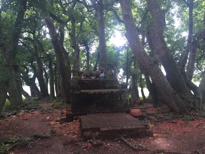 Tại đây còn có một ngôi miếu cổ, tương truyền thờ Ngọc Hoa công chúa con gái Vua Hùng thứ 18, mất do chìm thuyền vào một đêm giông bão ở đầm. Ảnh: Phượt Phú Thọ.