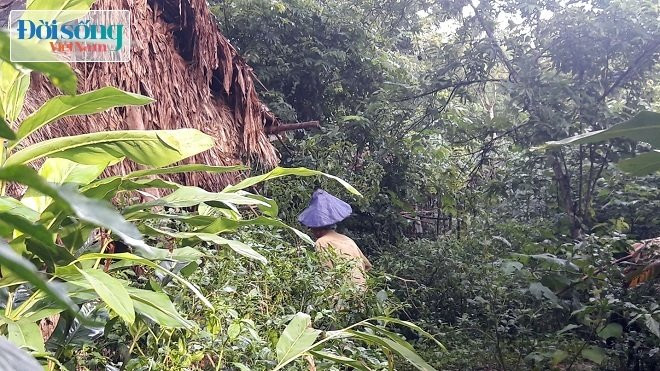 Những bí mật trong “khu vườn bí ẩn” đang dần sáng tỏ Những bí mật trong “khu vườn bí ẩn” đang dần sáng tỏ