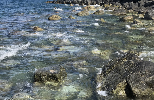 Để rồi mỗi khi xô bờ, sóng gặp đá tạo nên tiếng lao xao, ì oạp với đủ cung bậc như khúc tự tình dành tặng riêng cho nơi đây suốt ngàn năm qua. Điều khá đặc biệt nữa là môi trường sinh thái biển của Gành yến rất đa dạng với nhiều loại san hô, tôm, cá... Thời gian qua thắng cảnh này chưa bị con người tác động nhiều nên vẫn giữ được gần như nguyên vẹn nét hoang sơ của nó. Để rồi mỗi khi xô bờ, sóng gặp đá tạo nên tiếng lao xao, ì oạp với đủ cung bậc như khúc tự tình dành tặng riêng cho nơi đây suốt ngàn năm qua. Điều khá đặc biệt nữa là môi trường sinh thái biển của Gành yến rất đa dạng với nhiều loại san hô, tôm, cá... Thời gian qua thắng cảnh này chưa bị con người tác động nhiều nên vẫn giữ được gần như nguyên vẹn nét hoang sơ của nó.