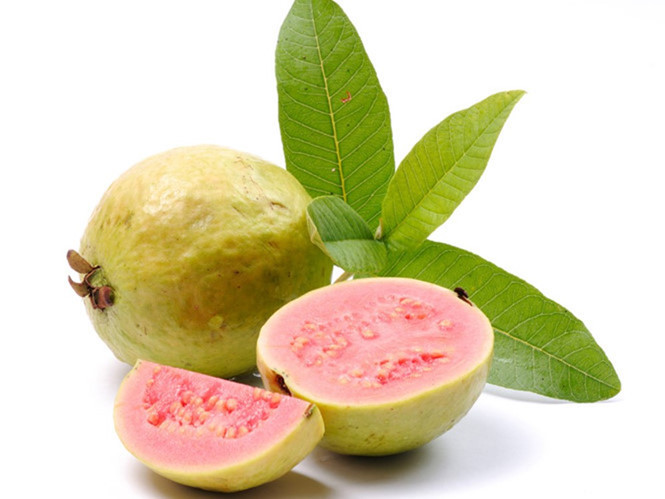 Quả ổi chứa nhiều dưỡng chất có lợi cho da và sức khỏe nói chung Quả ổi chứa nhiều dưỡng chất có lợi cho da và sức khỏe nói chung