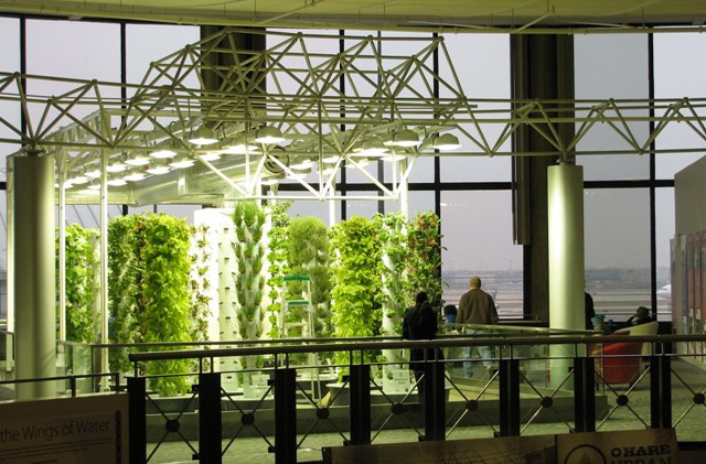 Hành khách trong lúc chờ đợi chuyến bay có thể tham quan khu vườn và thưởng thức món ăn có rau từ khu vườn