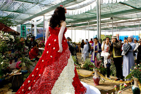 Đà Lạt khai mạc triển lãm hoa, cây cảnh quốc tế ảnh 5 Đà Lạt khai mạc triển lãm hoa, cây cảnh quốc tế ảnh 5