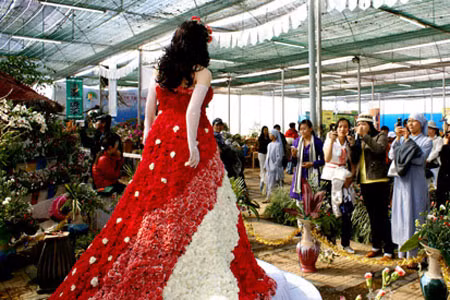 Đà Lạt khai mạc triển lãm hoa, cây cảnh quốc tế ảnh 5