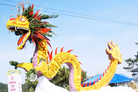 Đà Lạt khai mạc triển lãm hoa, cây cảnh quốc tế ảnh 3