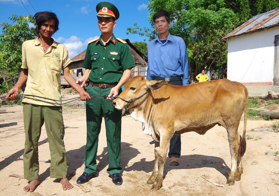 Thượng tá Đỗ Ngọc Sơn-Phó Chính ủy Lữ đoàn Pháo binh 368 trao tặng bò giống cho hộ Đinh HLứch (làng Bôn, xã Lơ Ku). Ảnh: Hồng Thi Thượng tá Đỗ Ngọc Sơn-Phó Chính ủy Lữ đoàn Pháo binh 368 trao tặng bò giống cho hộ Đinh HLứch (làng Bôn, xã Lơ Ku). Ảnh: Hồng Thi