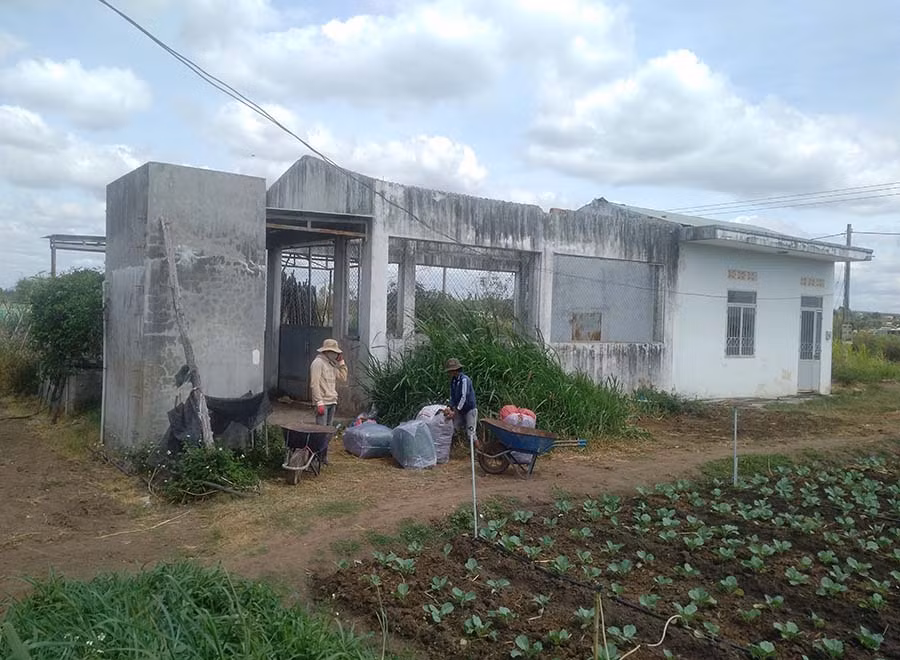 Công trình sơ chế rau hàng trăm triệu đồng bị bỏ hoang. Ảnh: N.G