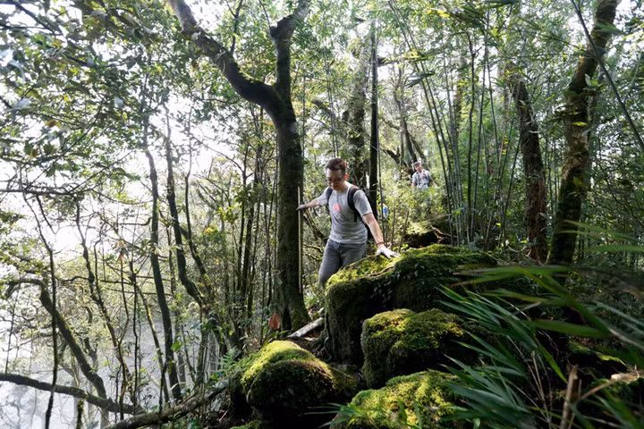 Leo đỉnh Thạch Bàn không quá khó. Khó khăn lớn nhất là bạn phải vượt qua chính mình ở giai đoạn đầu tiên. Lý do là lúc này cơ thể còn chưa quen với việc vận động. Nếu vượt qua chính mình, bạn chắc chắn có thể tự tin chinh phục 2 đỉnh kế tiếp. 5