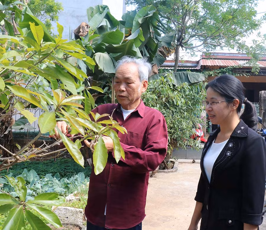  Bí thư Đảng ủy phường thăm đảng viên cao tuổi. Ảnh: N.D