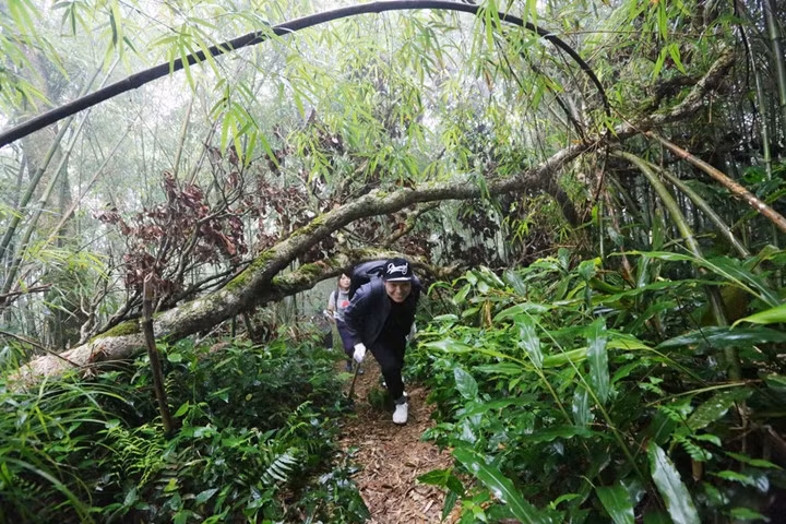 Thiên Thị được coi là đỉnh đẹp nhất, khi trên đỉnh núi, bạn có thể phóng được tầm mắt ra xa ngắm những thung lũng mây chập chờn hư ảo. Mây vây quanh mình, còn xung quanh,các loại hoa rừng thi nhau đua nở. 7