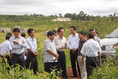 Ảnh minh họa Ảnh: Q.V