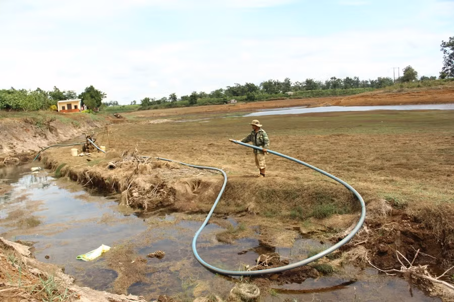 Anh Lê Văn Chiến (Đội 5, thôn Ia Mua) cố gắng chắt chìu từng giọt nước để để cứu vườn cà phê của mình. Ảnh: Q.T