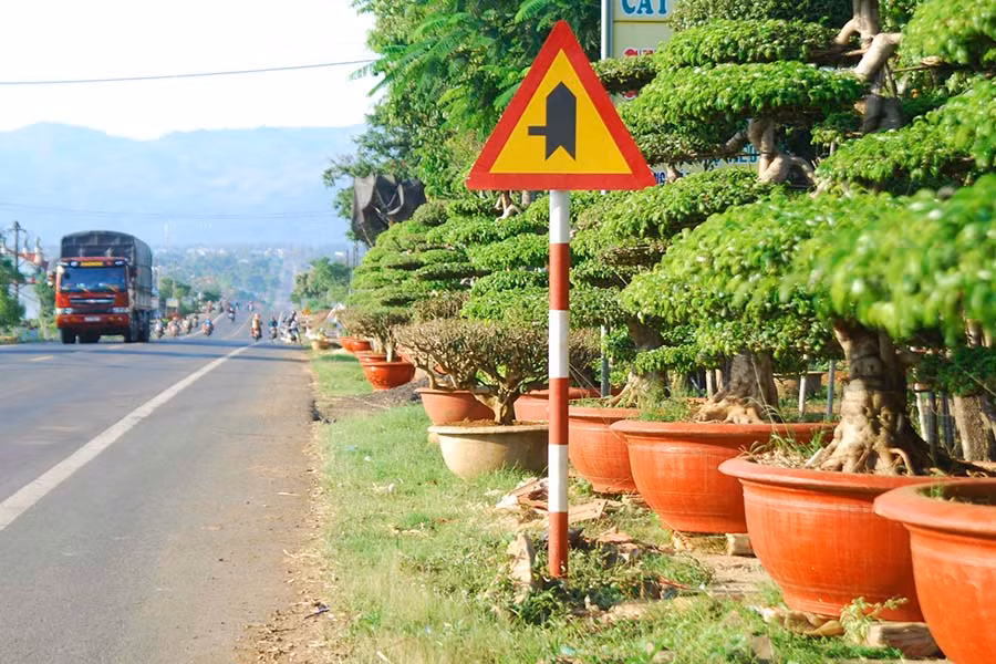 Những chậu cây lấn chiếm hành lang gây mất tầm nhìn.