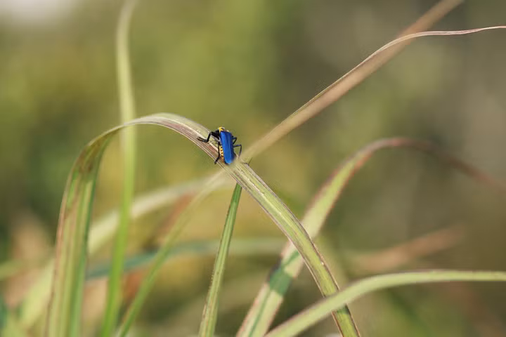 Khung cảnh tuyệt đẹp trên đường. Khung cảnh tuyệt đẹp trên đường.
