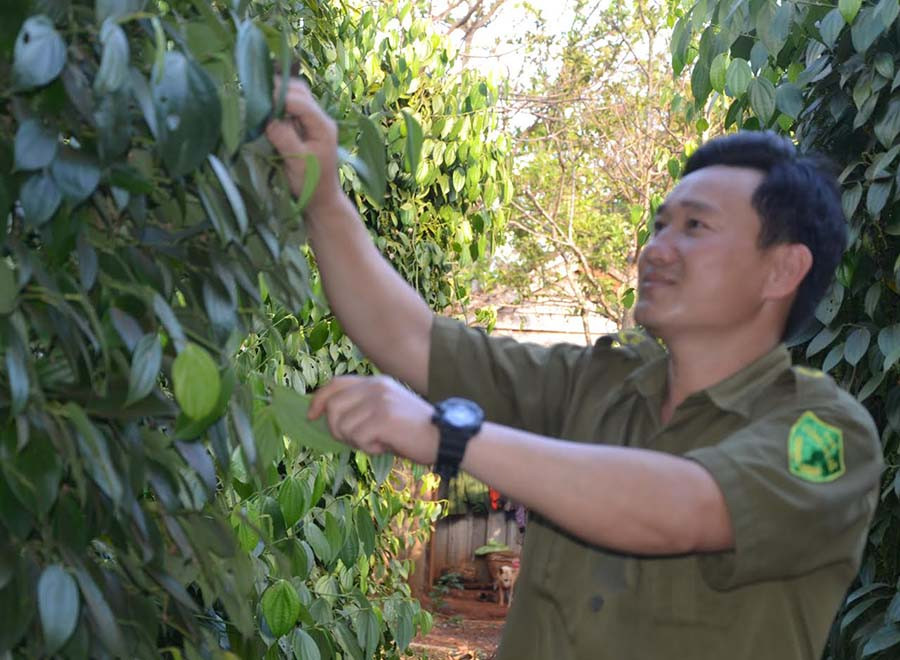 Anh Lương Văn Mạnh (làng Nua, xã Ia Pnôn) ổn định cuộc sống nhờ ý chí bản thân và sự giúp đỡ của chính quyền địa phương. Ảnh: Ngọc Thu Anh Lương Văn Mạnh (làng Nua, xã Ia Pnôn) ổn định cuộc sống nhờ ý chí bản thân và sự giúp đỡ của chính quyền địa phương. Ảnh: Ngọc Thu