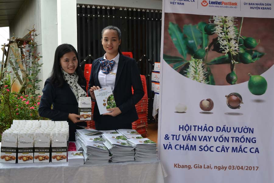 Ngân hàng Bưu điện Liên Việt sẽ hỗ trợ vốn và kỹ thuật cho người trồng mắc ca. Ảnh: N.T Ngân hàng Bưu điện Liên Việt sẽ hỗ trợ vốn và kỹ thuật cho người trồng mắc ca. Ảnh: N.T