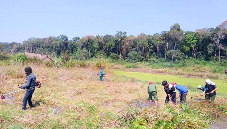 Ra quân sửa chữa đường giao thông nông thôn. Ảnh: Trần Dung