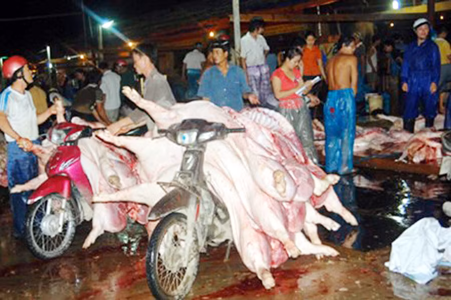 Ảnh: K.N.B Ảnh: K.N.B