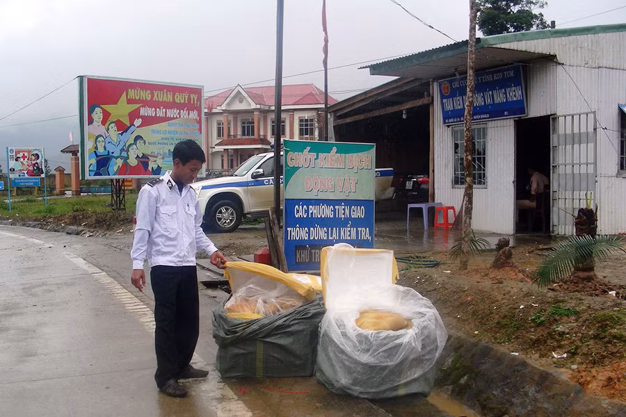  Tang vật thu giữ tại Trạm Kiểm dịch Măng Khênh. Ảnh: Hoài Trần