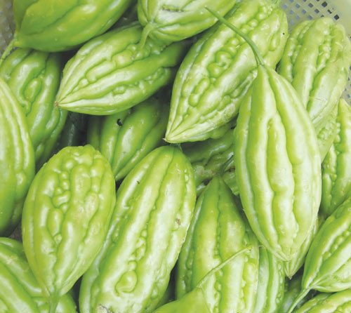 Khổ qua giúp chống được nhiều bệnh.