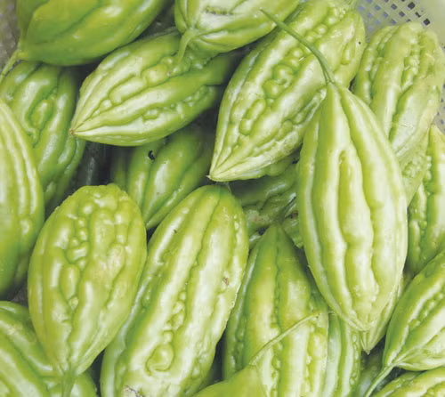 Khổ qua giúp chống được nhiều bệnh.