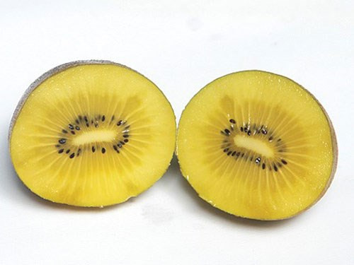 Quả kiwi chứa nhiều dưỡng chất tốt cho sức khỏe Quả kiwi chứa nhiều dưỡng chất tốt cho sức khỏe