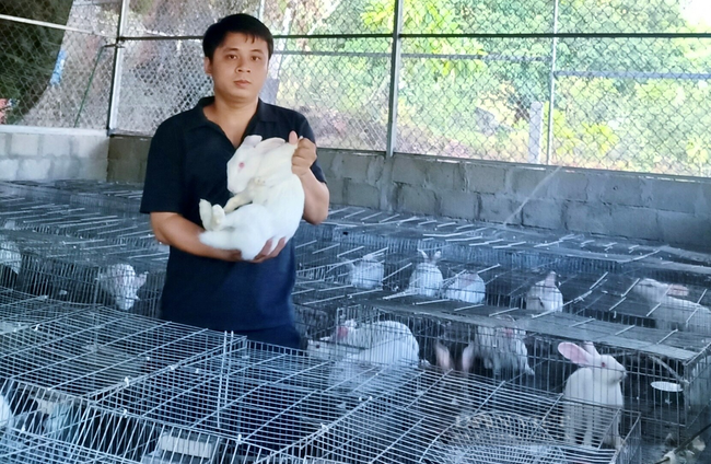Anh Trương Phi Anh phát triển thành công mô hình nuôi thỏ với hiệu quả kinh tế cao. Ảnh: NVCC.