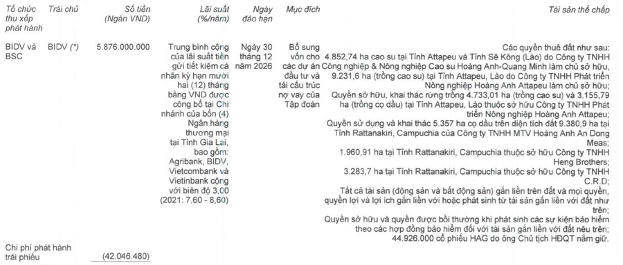  BIDV là chủ nợ lớn nhất của HAGL do bầu Đức làm Chủ tịch HĐQT. Nguồn: BCTC HAGL