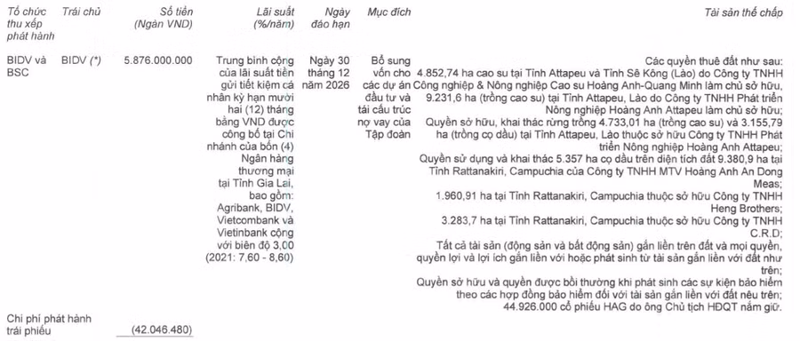 BIDV là chủ nợ lớn nhất của HAGL do bầu Đức làm Chủ tịch HĐQT. Nguồn: BCTC HAGL BIDV là chủ nợ lớn nhất của HAGL do bầu Đức làm Chủ tịch HĐQT. Nguồn: BCTC HAGL