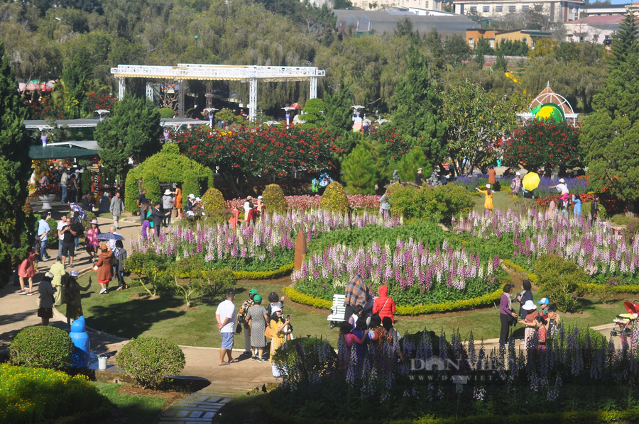 Đến nay, đã có khoảng 13.000 lao động trong lĩnh vực du lịch phải nghỉ việc không lương vì dịch Covid-19. Ảnh: Khiêm Võ.