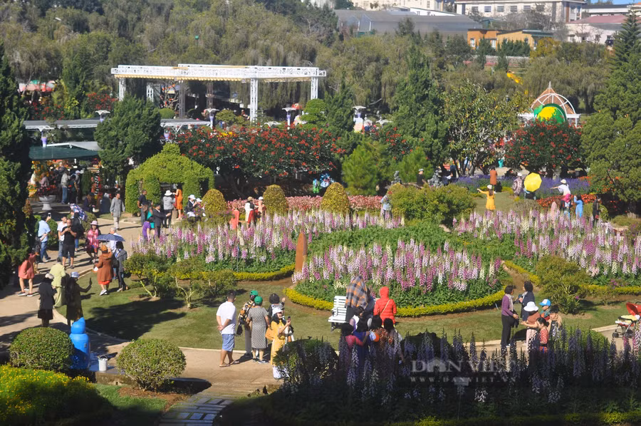 Đến nay, đã có khoảng 13.000 lao động trong lĩnh vực du lịch phải nghỉ việc không lương vì dịch Covid-19. Ảnh: Khiêm Võ.