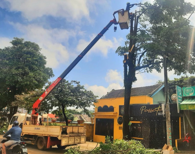 Cắt dọn cây xanh trong mùa mưa bão Cắt dọn cây xanh trong mùa mưa bão