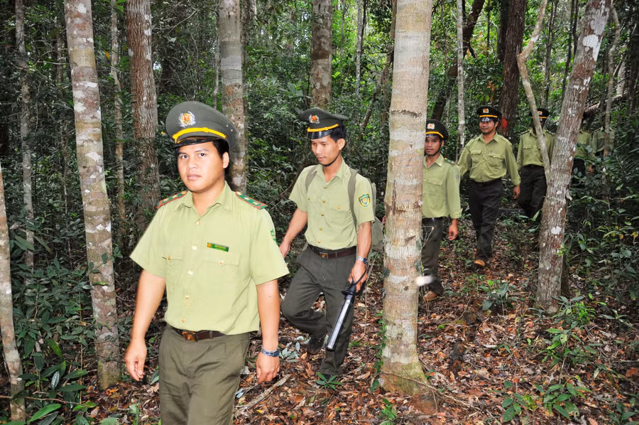 Cán bộ, nhân viên Ban Quản lý Khu bảo tồn thiên nhiên Kon Chư Răng tuần tra bảo vệ rừng. Ảnh: Hồng Thương Cán bộ, nhân viên Ban Quản lý Khu BTTN Kon Chư Răng tuần tra bảo vệ rừng. Ảnh: Hồng Thương