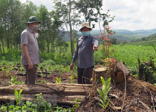 Ông Trần Hữu Thế, Chủ tịch UBND tỉnh Phú Yên (ngoài cùng bên trái) kiểm tra hiện trường phá rừng. (Ảnh: Xuân Triệu/TTXVN)  Ông Trần Hữu Thế, Chủ tịch UBND tỉnh Phú Yên (ngoài cùng bên trái) kiểm tra hiện trường phá rừng. (Ảnh: Xuân Triệu/TTXVN)