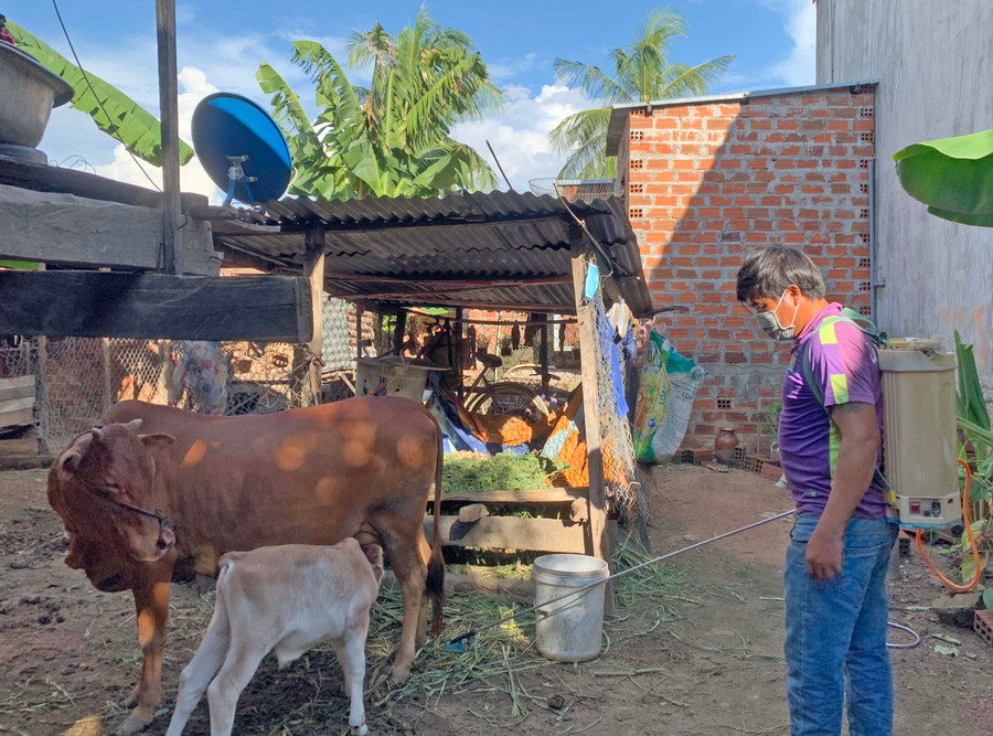 Người dân phường Đoàn Kết phun hóa chất tiêu độc khử trùng chuồng trại chăn nuôi. Ảnh: Vũ Chi