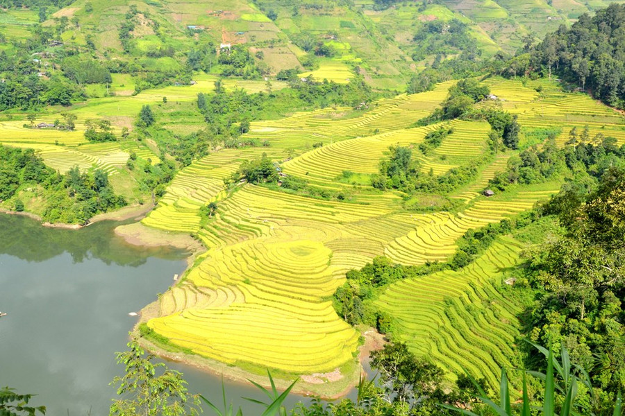  Ở vùng ven suối thì xoáy tròn như vân tay của đất.