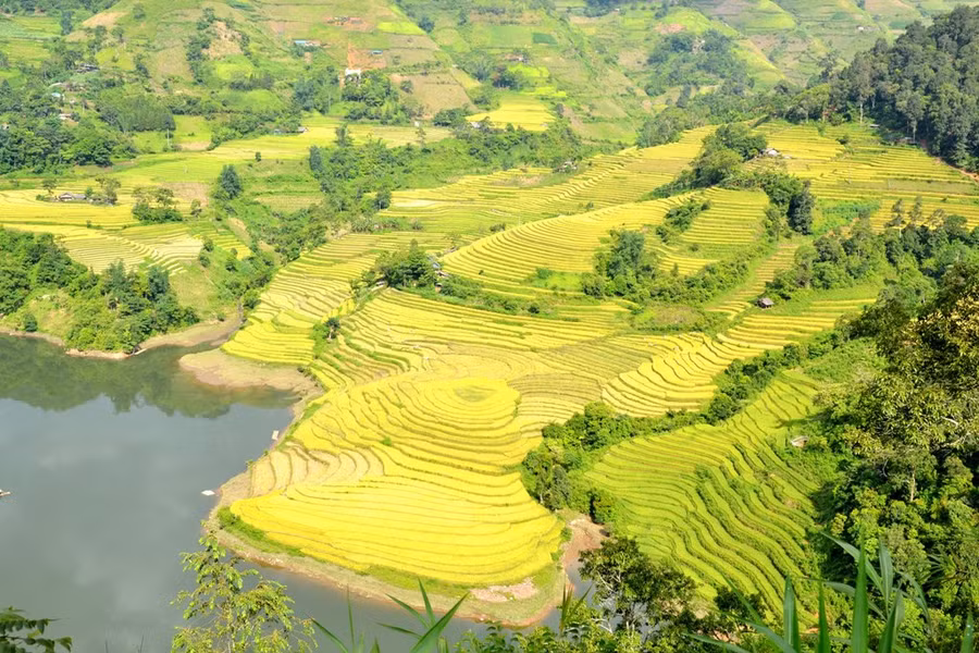  Ở vùng ven suối thì xoáy tròn như vân tay của đất.