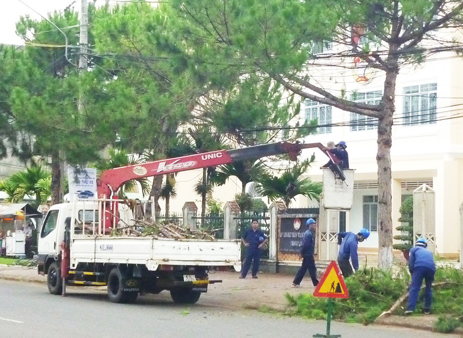 Cắt tỉa cành cây xanh trong khu vực trung tâm đô thị trước mùa mưa bão (ảnh chụp trước tháng 4-2021). Ảnh: Thanh Nhật Cắt tỉa cành cây xanh trong khu vực trung tâm đô thị trước mùa mưa bão. Ảnh: Thanh Nhật