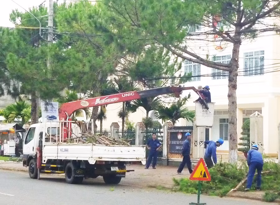  Cắt tỉa cành cây xanh trong khu vực trung tâm đô thị trước mùa mưa bão. Ảnh: Thanh Nhật