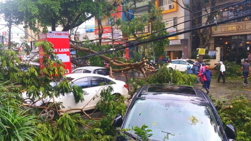 Cây xanh gãy đổ do mưa gió, công nhân phải lập tức dọn dẹp bất kể ngày đêm Cây xanh gãy đổ do mưa gió, công nhân phải lập tức dọn dẹp bất kể ngày đêm