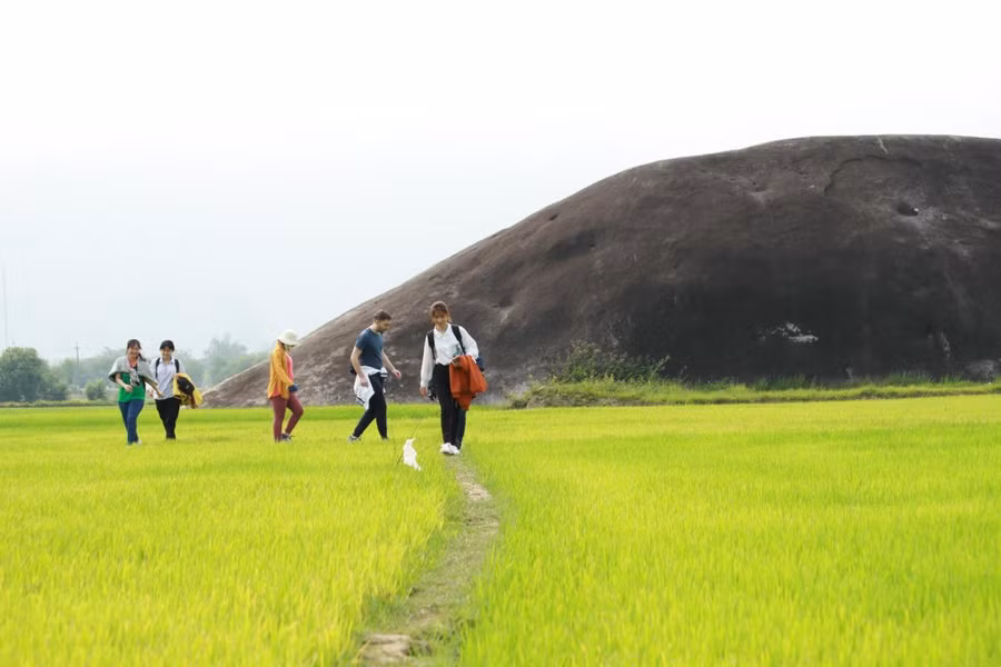 Du khách tham quan cánh đồng lúa nước tại xã Yang Tao, huyện Lắk (ảnh chụp trước thời điểm đợt dịch COVID-19 lần thứ tư xuất hiện trên địa bàn tỉnh). Ảnh: Y Xim