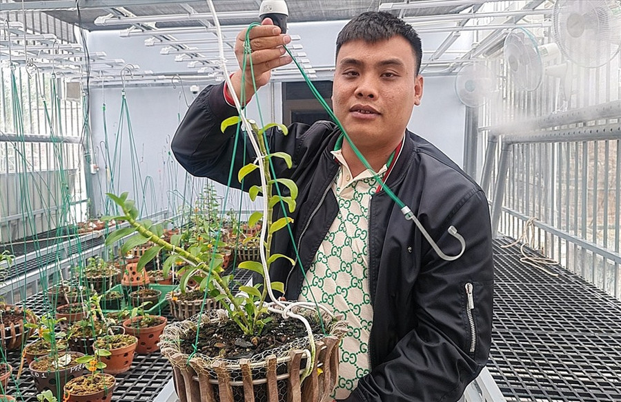 Bùi Hữu Thanh - đại gia buôn lan đột biến trước khi bị bắt vì buôn than lậu. Ảnh: Quốc Nam. 