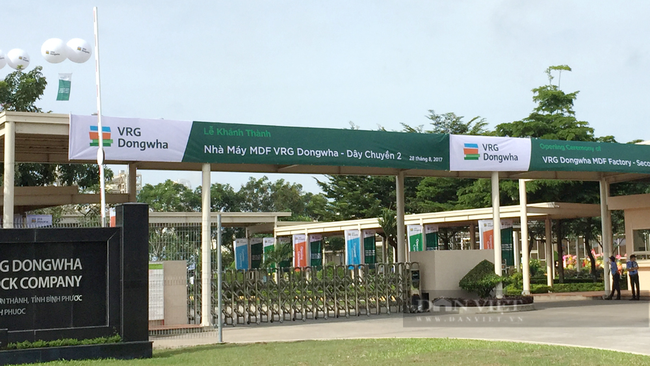 Nhà máy của Công ty CP gỗ MDF VRG Dongwha tại Khu công nghiệp Minh Hưng III, huyện Chơn Thành (Bình Phước). Ảnh: Ngọc Bích