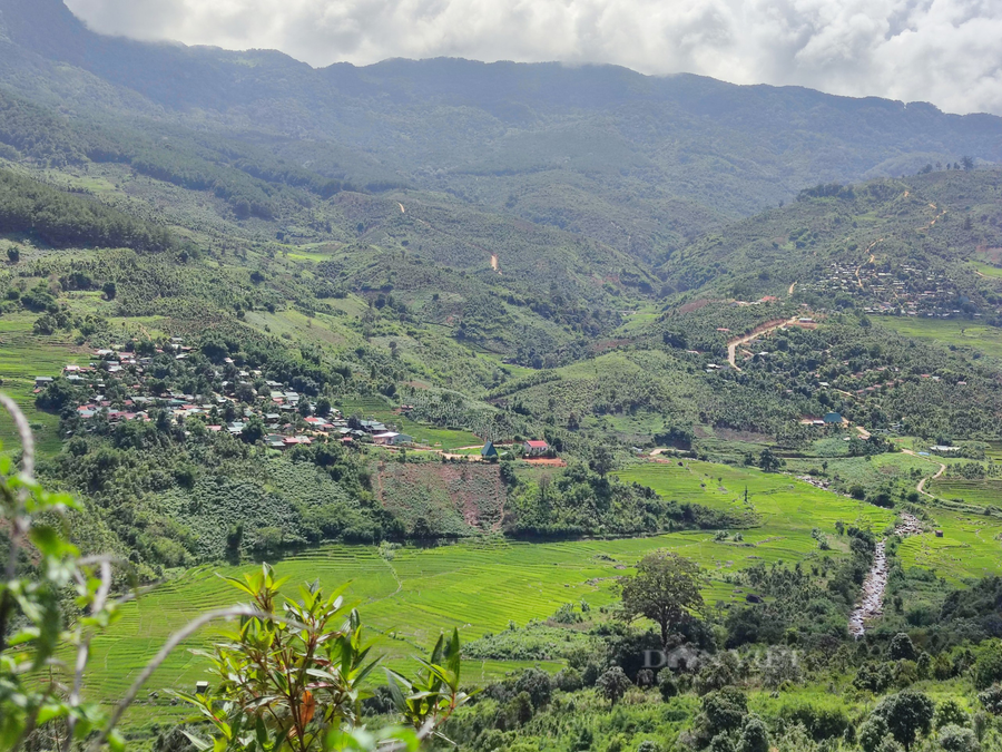 Tuy nhiên, hiện nay nhiều hộ dân thôn Tu Thó vẫn chưa thể đến khu tái định do còn khó khăn trong việc dựng nhà (Ảnh T.H)