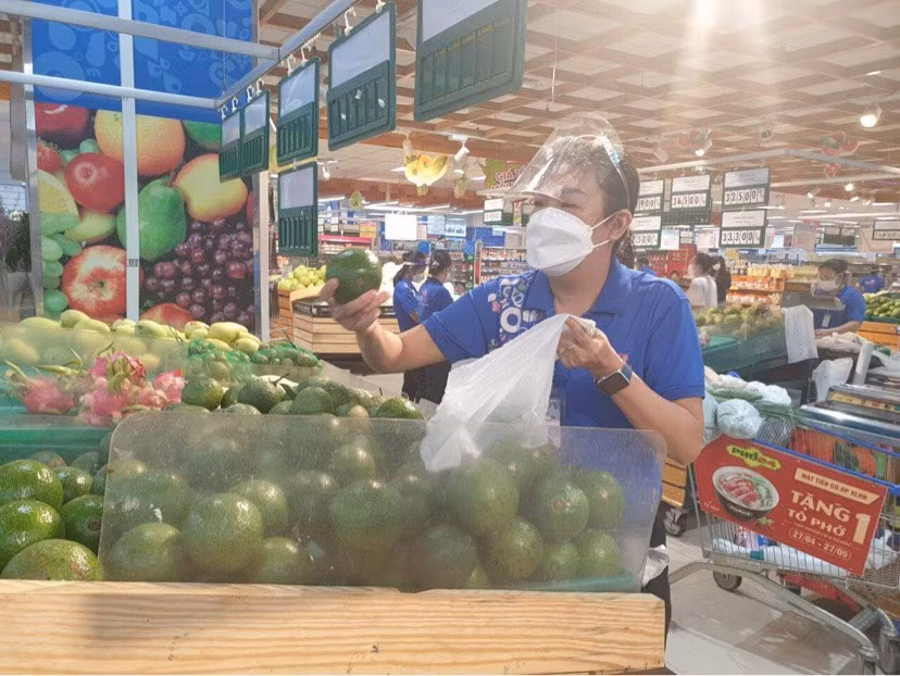 Bơ Booth Cư M’Gar đã có mặt trên hệ thống cung ứng Saigon Co.op. Ảnh: CTV