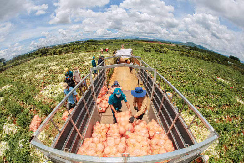 Thu hoạch nông sản chuyển về ủng hộ Nhân dân Thành phố Hồ Chí Minh. Ảnh: Chính Thành Thu hoạch nông sản chuyển về ủng hộ Nhân dân Thành phố Hồ Chí Minh. Ảnh: Chính Thành