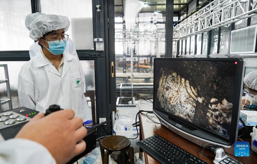 Các nhà khảo cổ sử dụng thiết bị để quan sát hố hiến tế số 6 di chỉ Tam Tinh Đôi, ngày 7.9.2021. Ảnh: Tân Hoa Xã