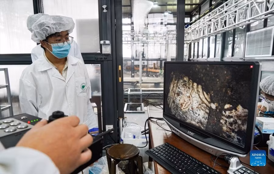 Các nhà khảo cổ sử dụng thiết bị để quan sát hố hiến tế số 6 di chỉ Tam Tinh Đôi, ngày 7.9.2021. Ảnh: Tân Hoa Xã